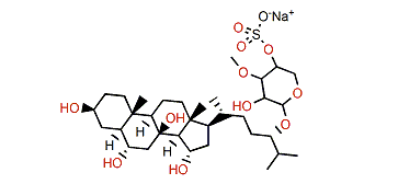 Phrygioside B